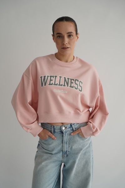 світшот Wellness пудра велнеспудра-м фото